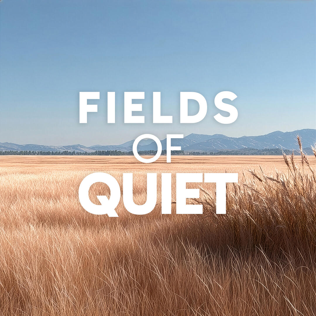 Fields of Quiet